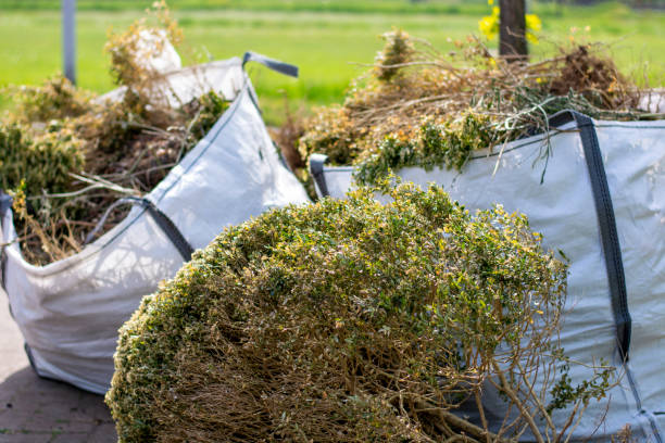 Best Same-Day Junk Removal Services  in North St Paul, MN